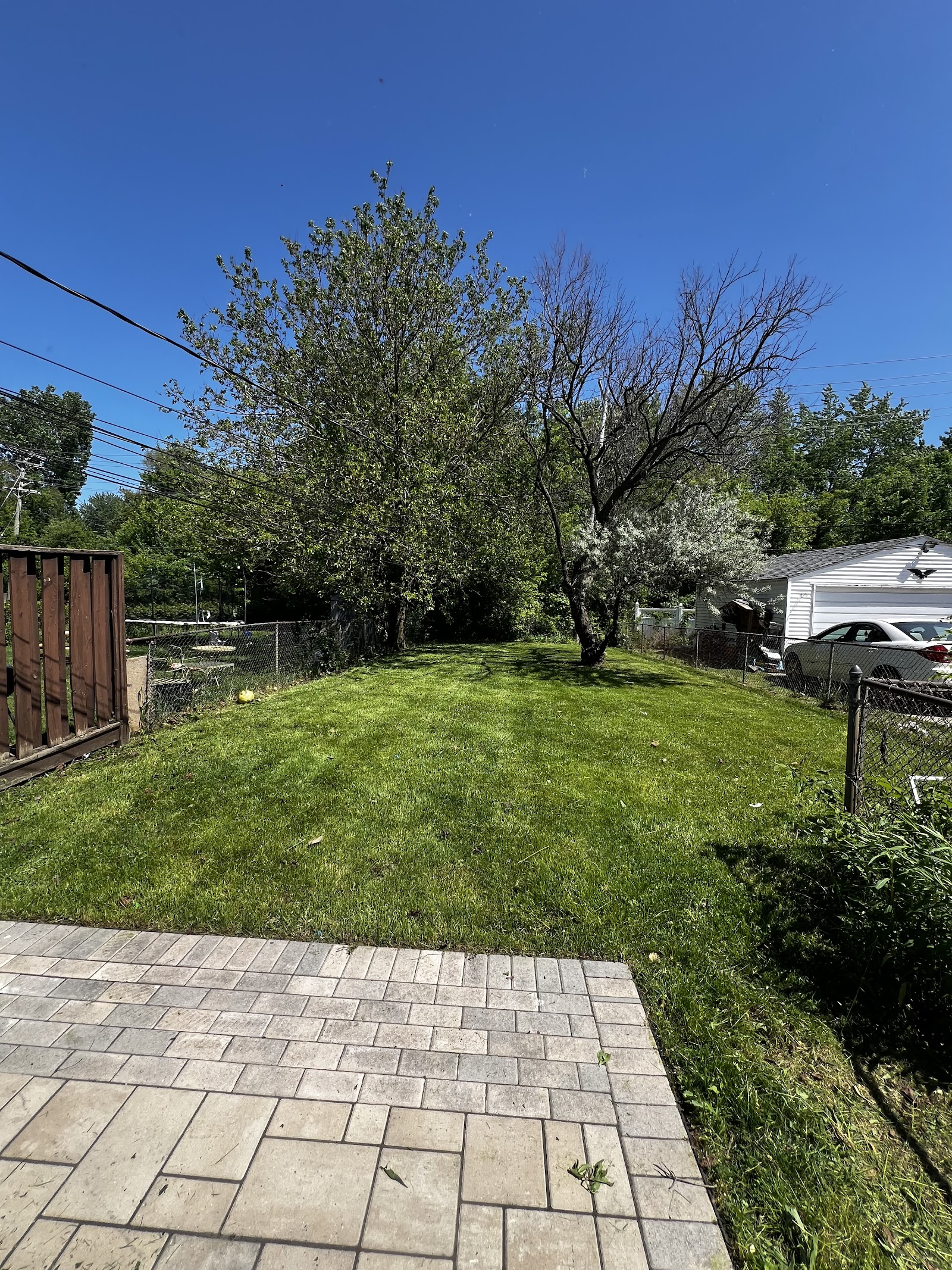 Elite Outdoor Landscaping & Services in St Clair Shores