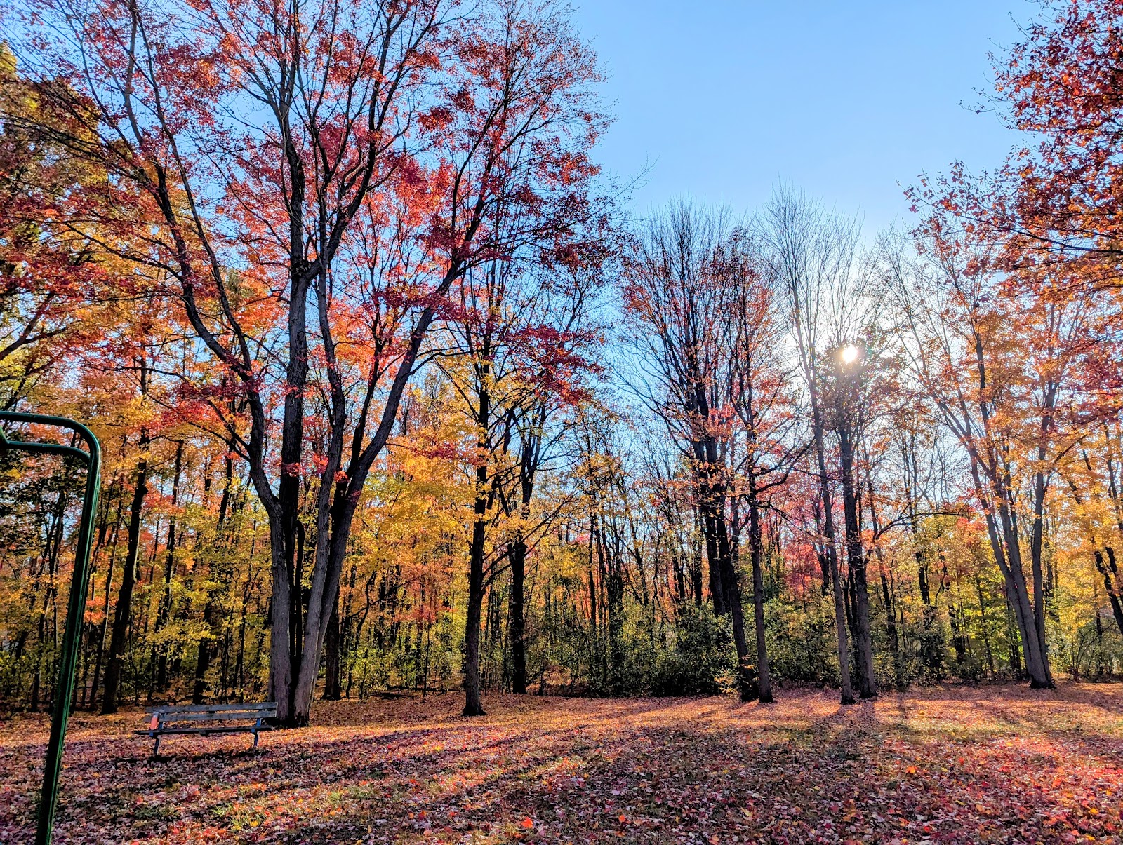 Kaufman Park