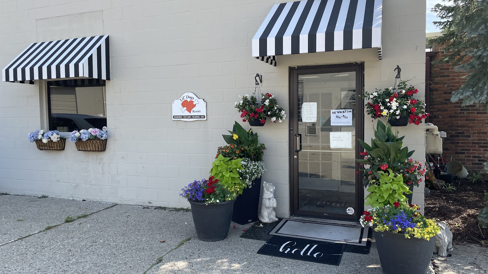 Lil' Dogs Resort in St Clair Shores
