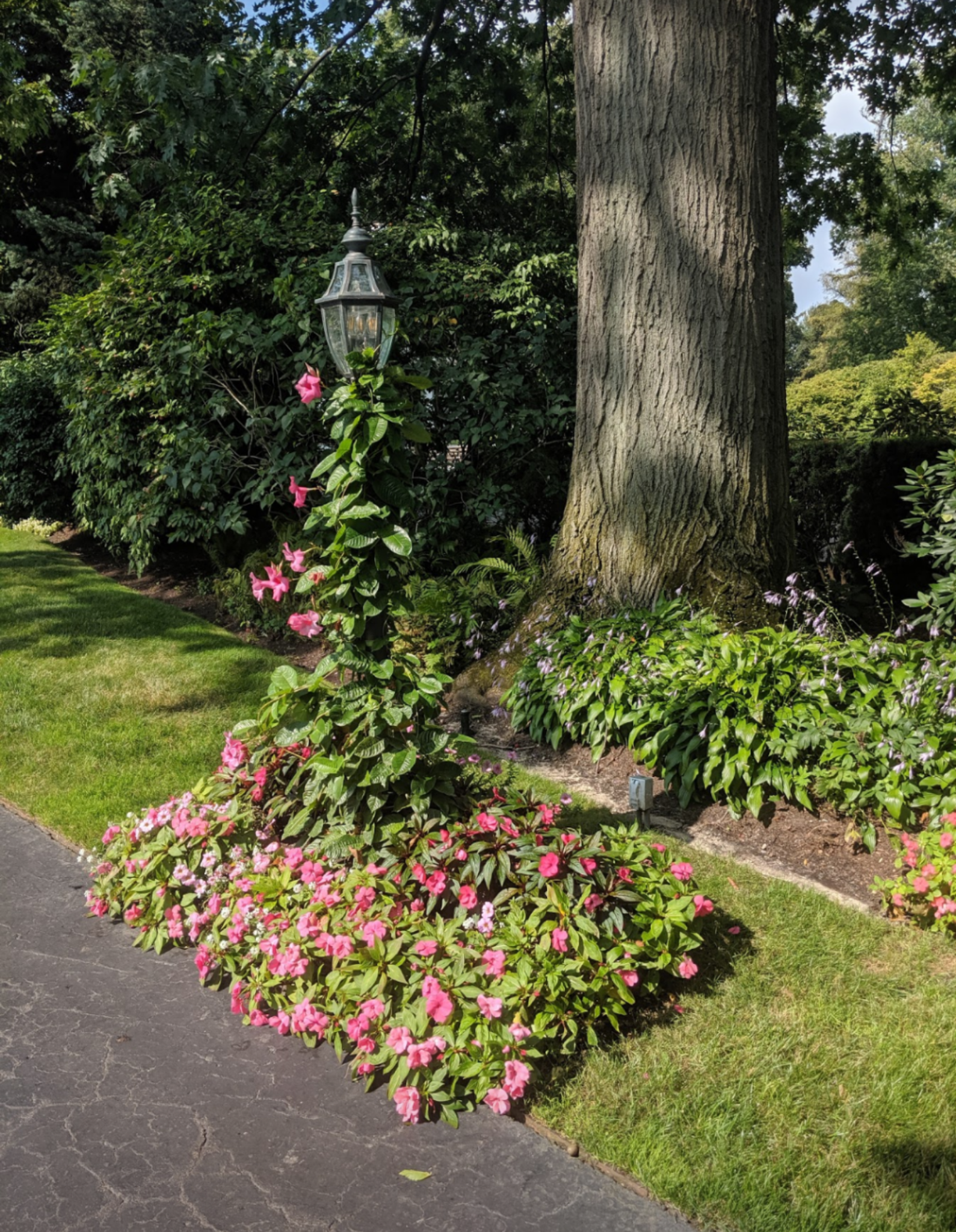 Organic Matters Landscaping in St Clair Shores