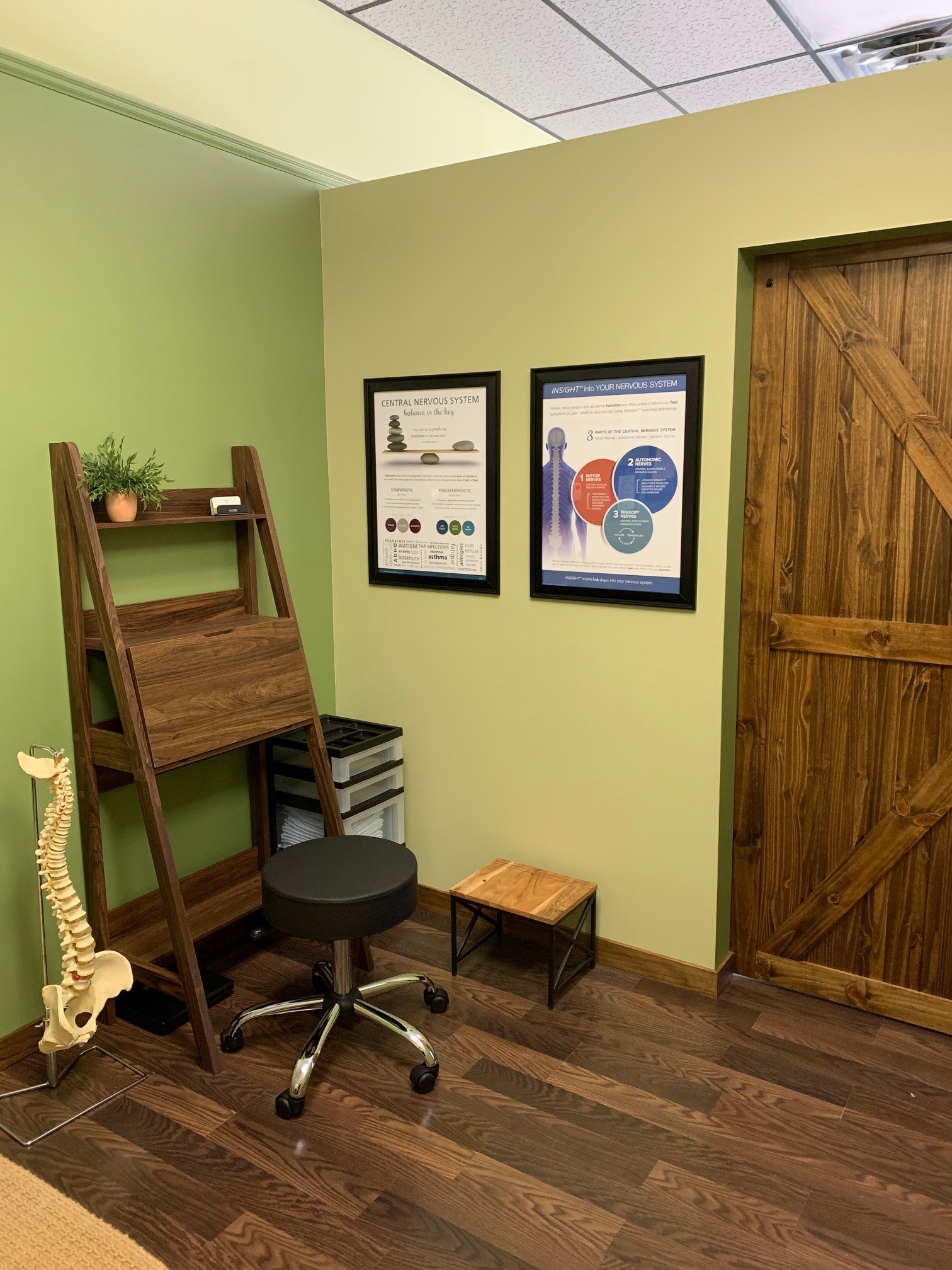 Strong Roots Family Chiropractic in St Clair Shores